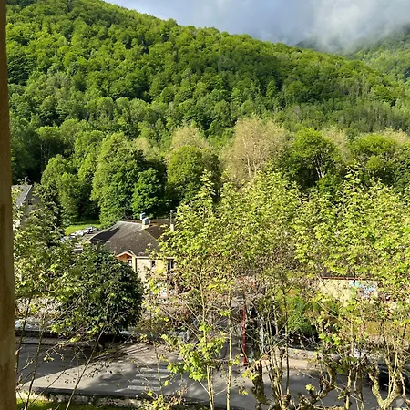 Le Valier, T2 Grand - Appt 308 - *